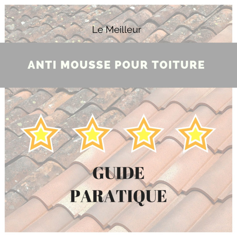 guide anti mousse toiture