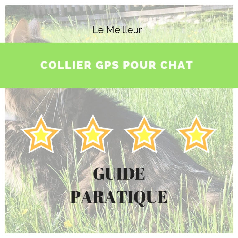 guide collier gps chat