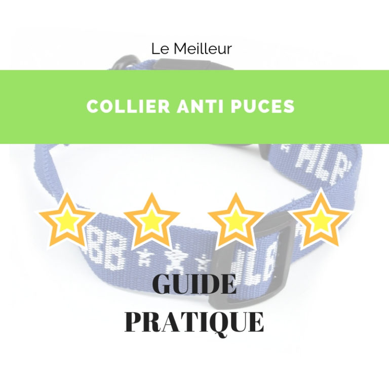 guide collier antipuce