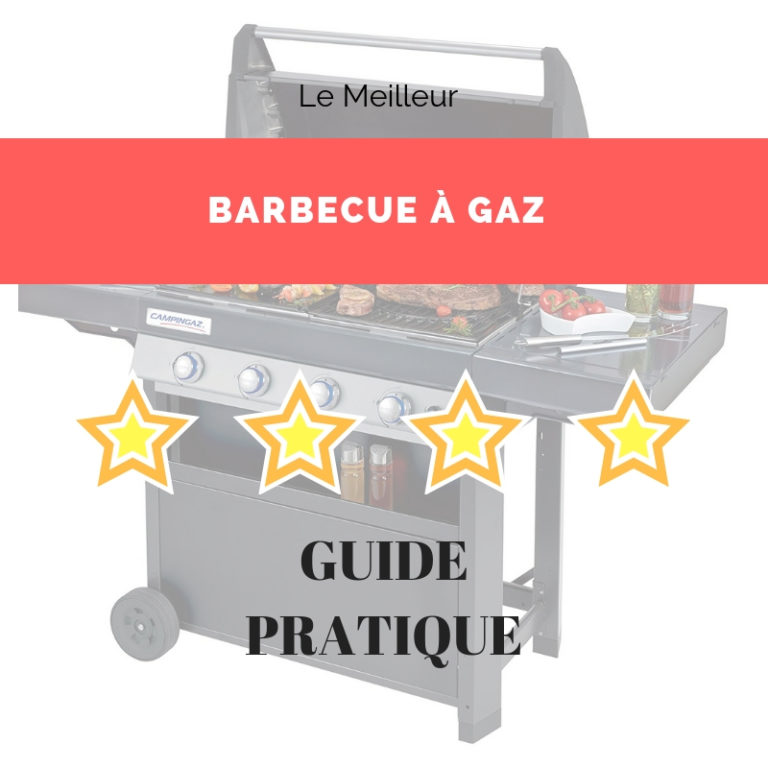 guide barbecue gaz