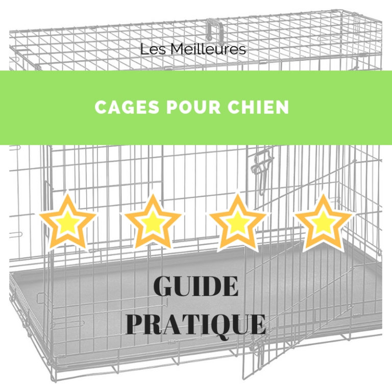 guide cage pour chien